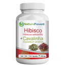Hibisco com Cavalinha 500 mg 60 Cápsulas